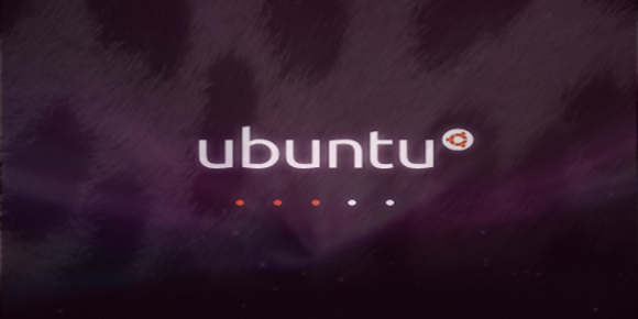ubuntu_leopard